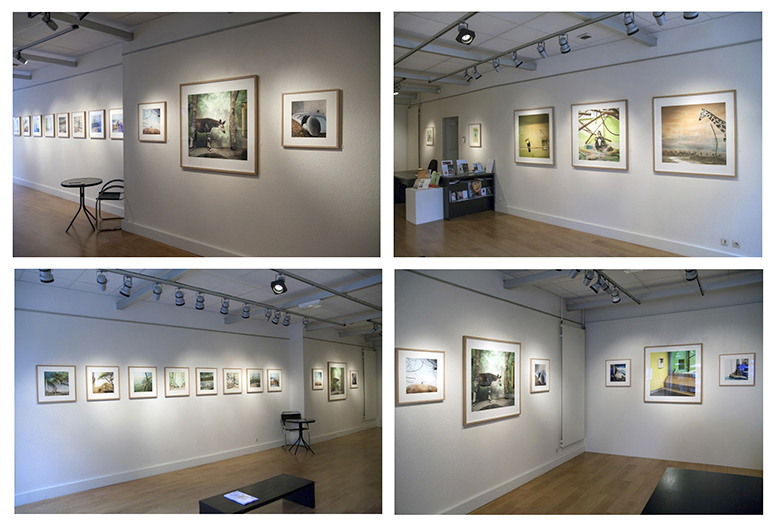 Galerie 29