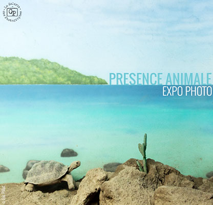 Presence animale